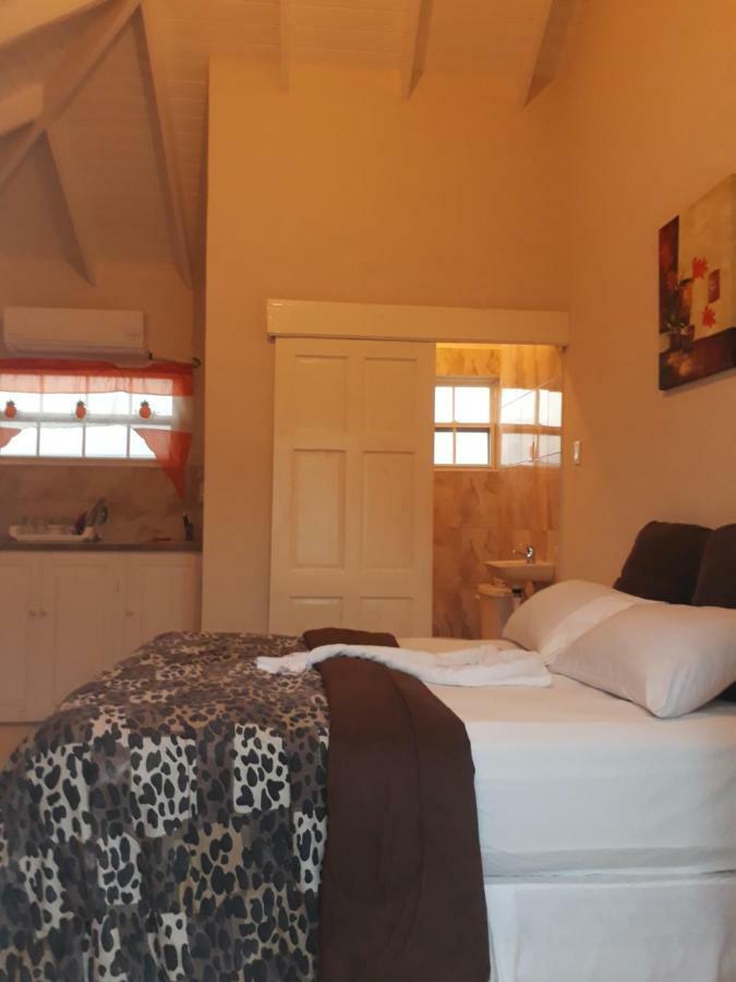 קרייסט צ'רץ' Haven House Apartments מראה חיצוני תמונה